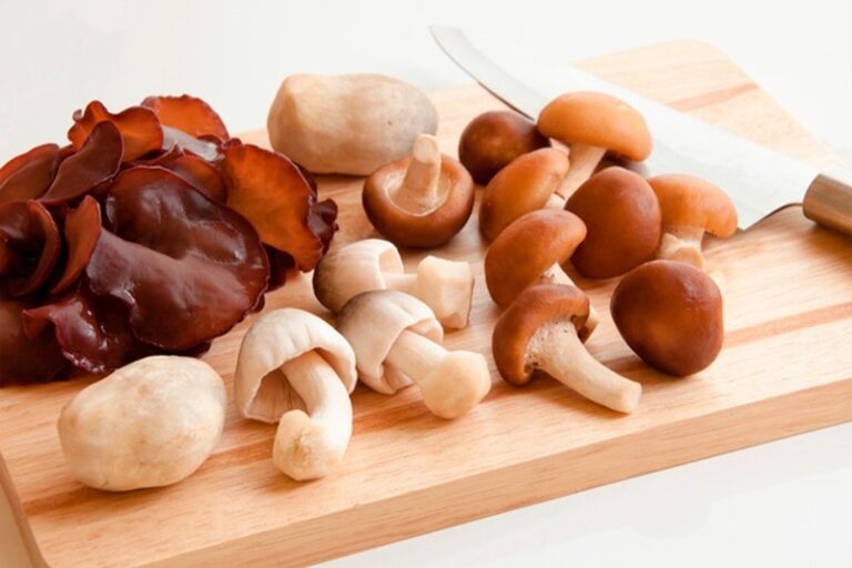 que-hongos-son-comestibles
