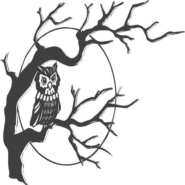 que-significa-ver-un-buho-en-un-arbol