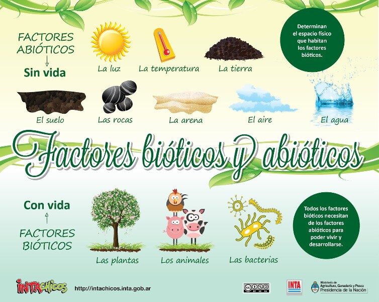 que-son-factores-bioticos-y-abioticos