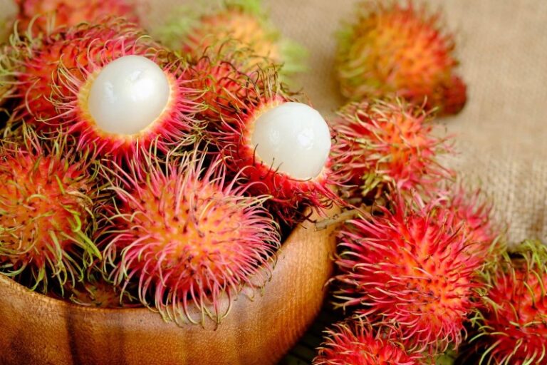 rambutan-fruta-peligrosa