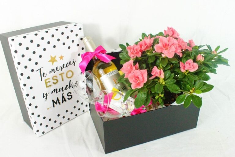 regalo-de-la-madre