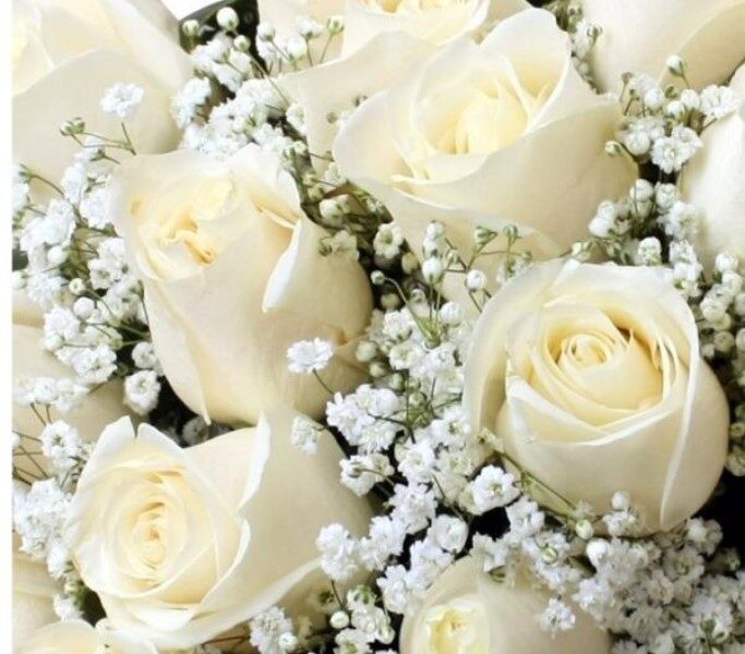 rosas-blancas-significado