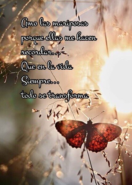 sabias-frases-de-mariposas