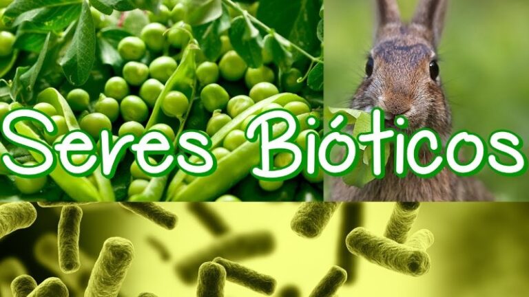 seres-bioticos