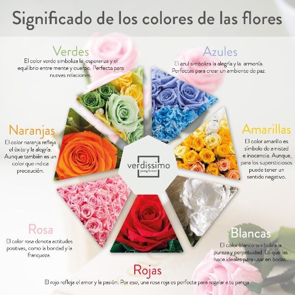 significado-de-color-en-las-rosas