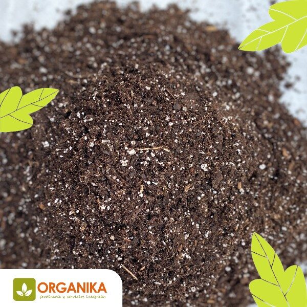 sustrato-para-suculentas