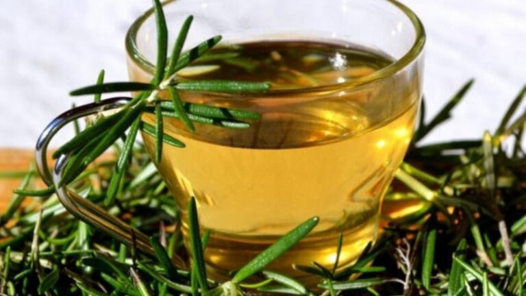 te-de-romero-en-la-noche