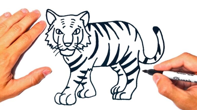 tigre-para-dibujar