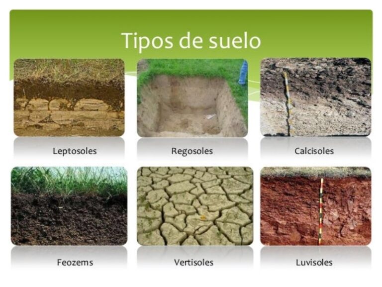 tipologia-de-suelos