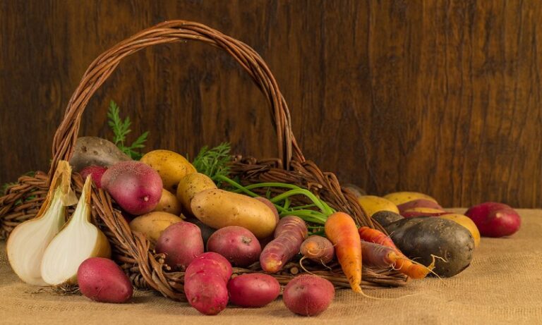 tuberculos-comida
