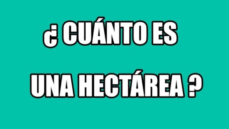 Cuantos Metros Tiene Una Tarea