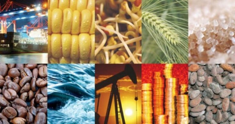 materia-prima-ejemplos-para-ninos