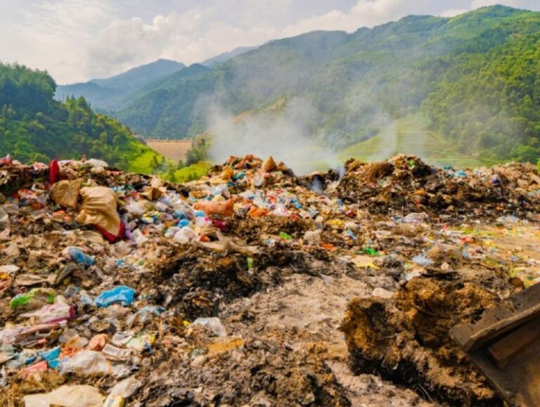 que-consecuencias-tiene-no-reciclar