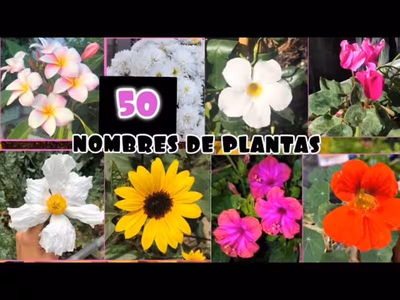 100_plantas_nombres
