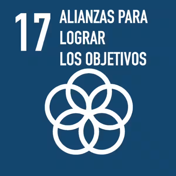 alianzas_para_lograr_los_objetivos