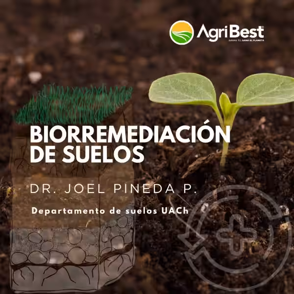 biorremediacion_de_suelos