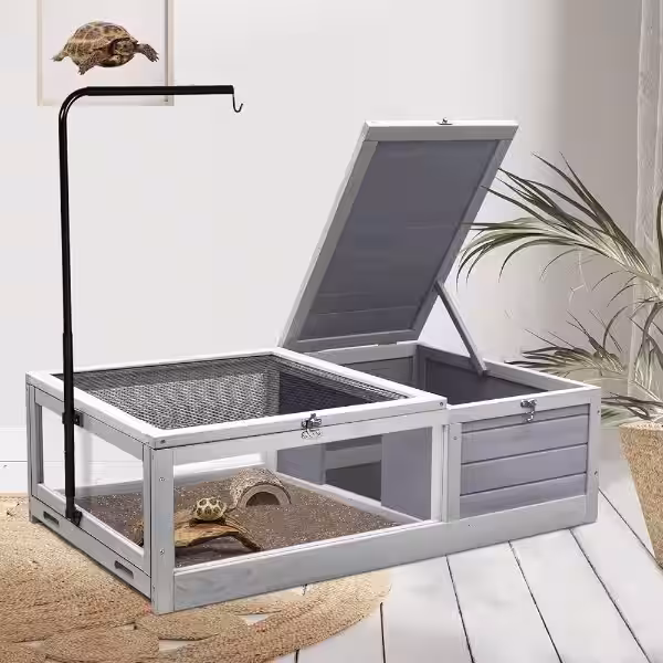 casa_de_tortuga