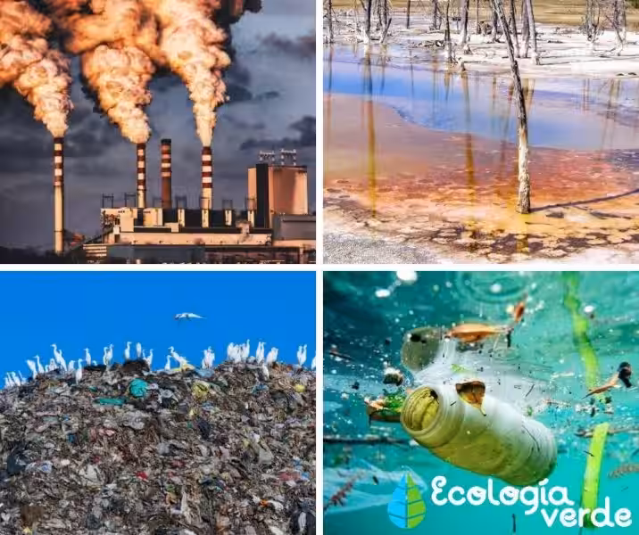 como_afecta_la_contaminacion_al_medio_ambiente