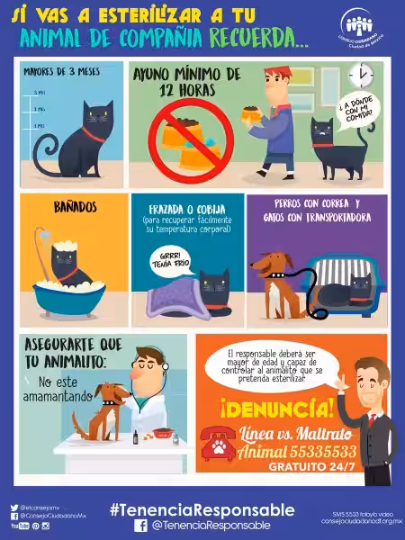 como_cuidamos_a_los_animales_al_consumirlos_menos