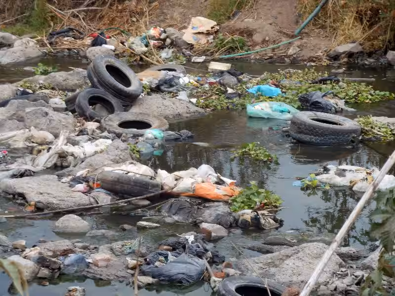 contaminacion_ambiental_causas