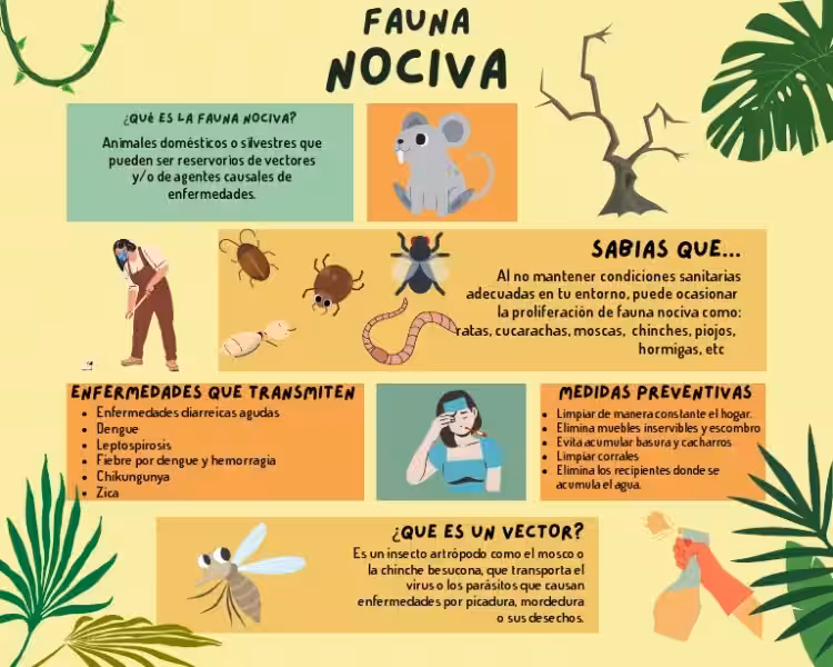 control_de_fauna_nociva