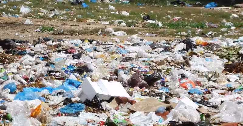 cual_es_el_problema_de_las_bolsas_de_plastico