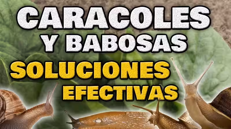 eliminar_babosas_del_jardin
