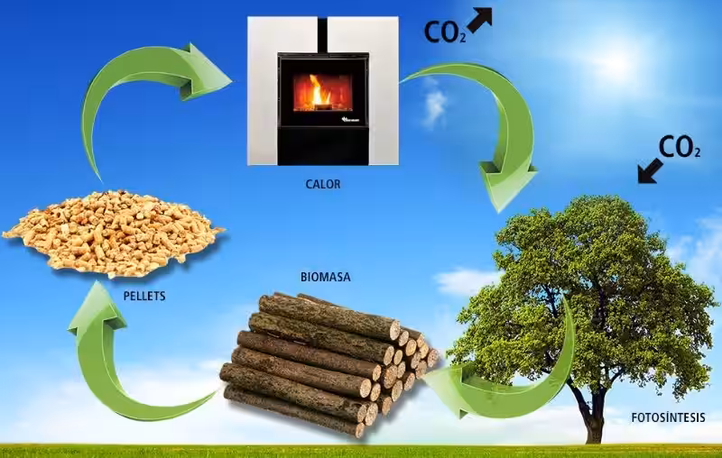 energia_a_partir_de_la_biomasa