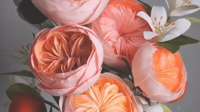 flores_caras
