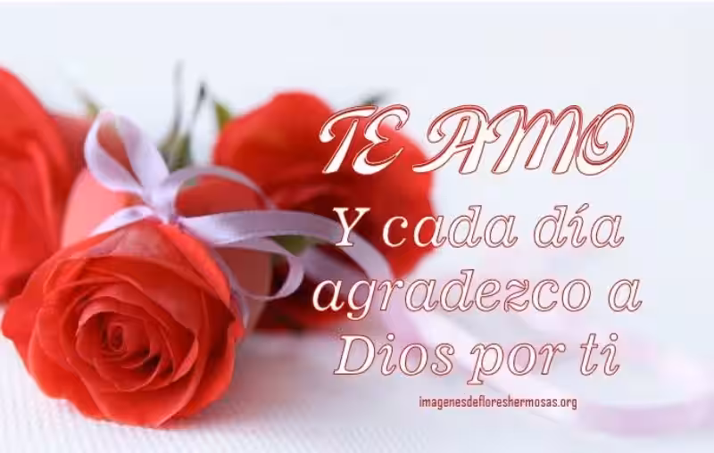 flores_para_el_amor_de_mi_vida