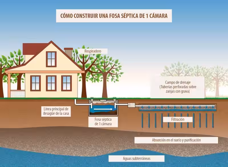 fosa_ceptica