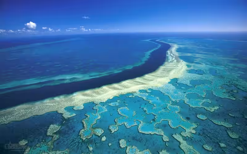 gran_barrera_de_coral