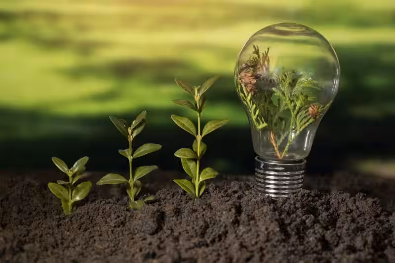 ideas_sustentables