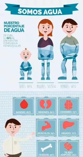 importancia_del_agua_en_el_cuerpo_humano