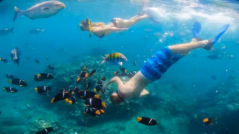 los_arcos_snorkeling