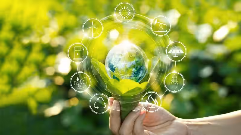 organizaciones_que_promuevan_la_sustentabilidad