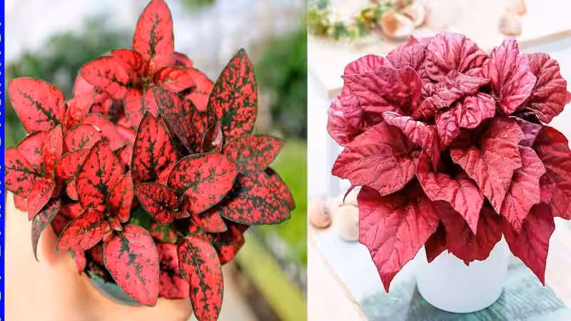plantas_de_hojas_verdes_nombres