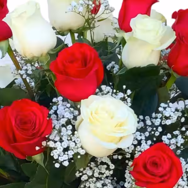 rosas_rosas_y_blancas