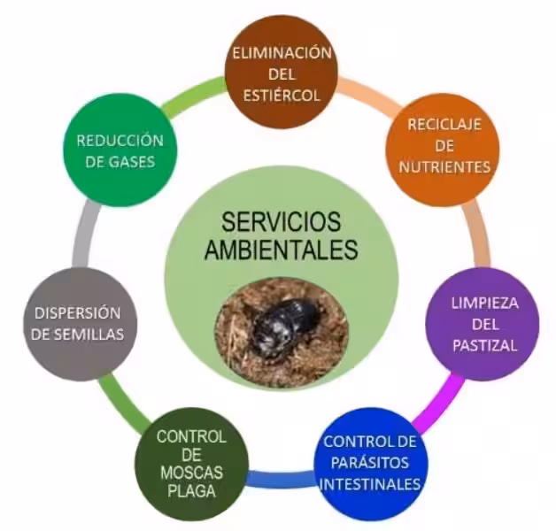servicios_ambientales