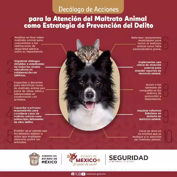 soluciones_para_el_maltrato_animal