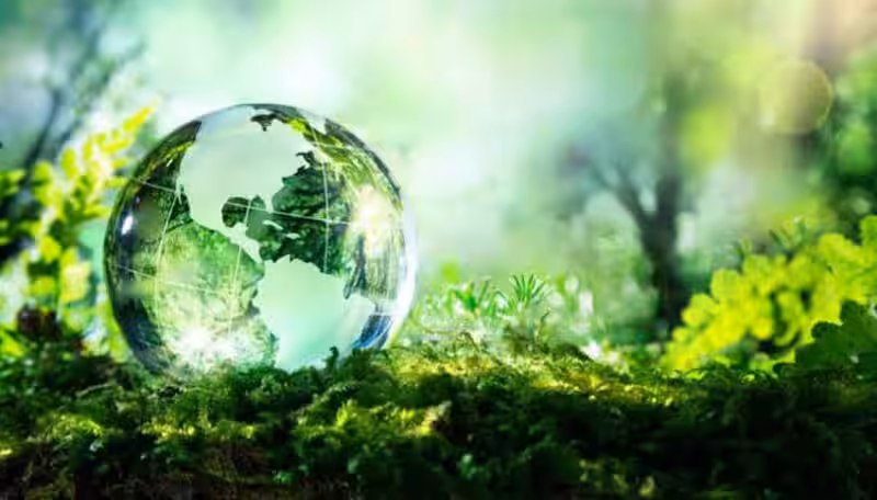 sustentabilidad