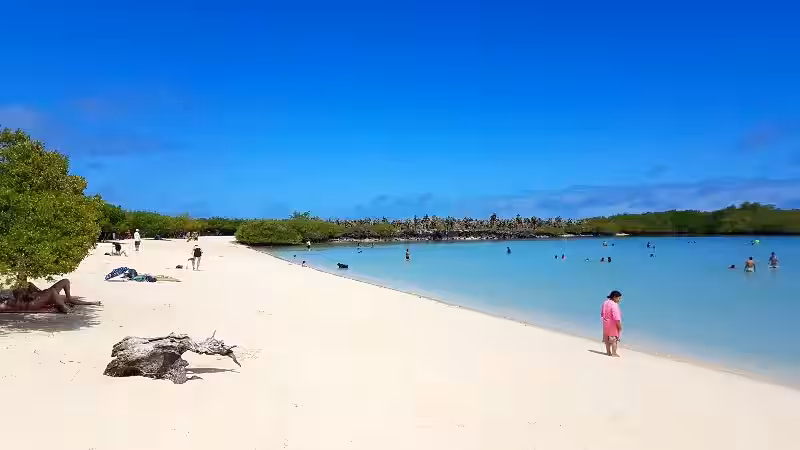 tortuga_beach